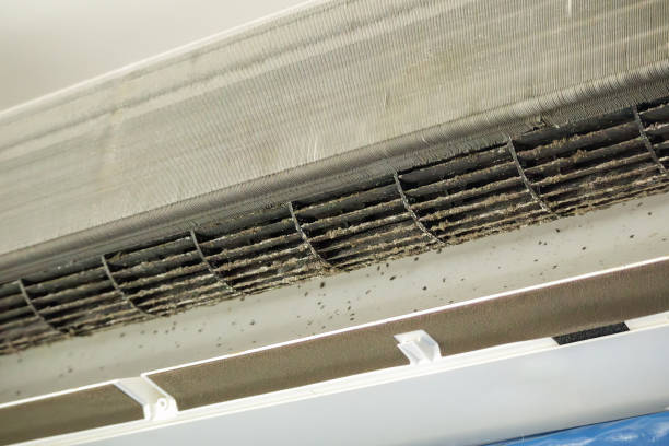 Reliable MN Airduct Cleaning Solutions